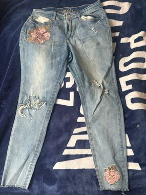 Rue21 Light Blue Skinny Jeans with Pink Rose Embroidery